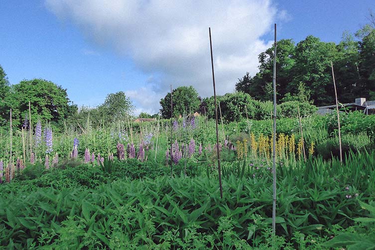 Pythouse Kitchen Garden Tisbury