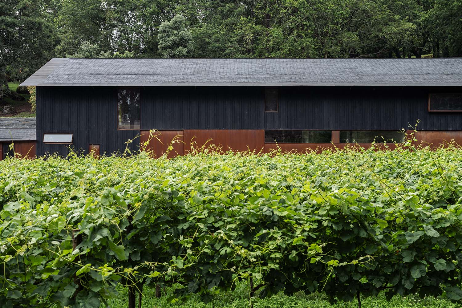 Quinta do Mosteiro Adega Minho Portugal by Studio Nicholas Burns