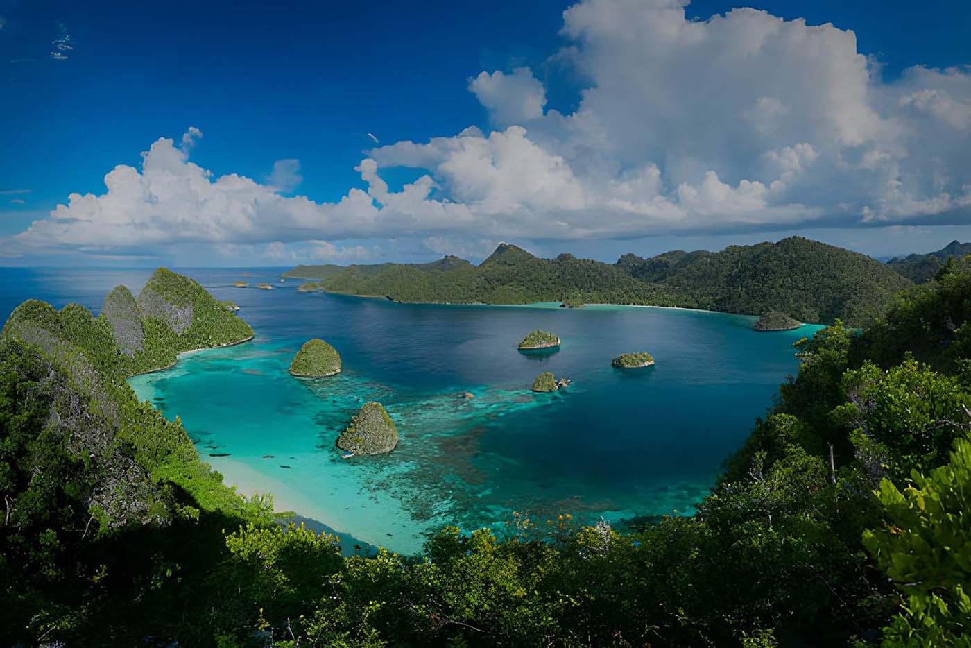 Discover the Untouched Beauty of Raja Ampat