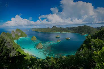 Discover the Untouched Beauty of Raja Ampat