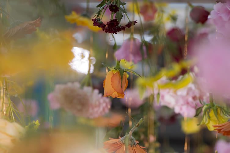 Rebecca Louise Law Installation