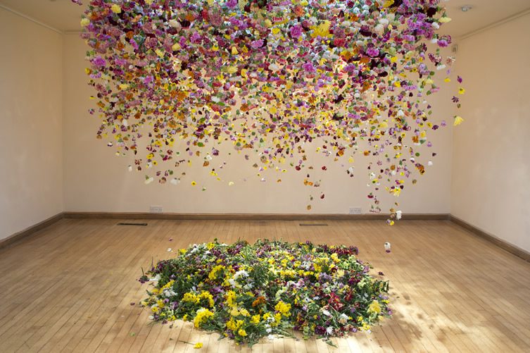 Rebecca Louise Law Interview