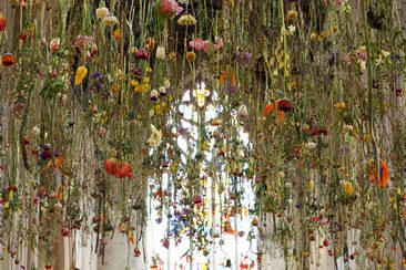 Rebecca Louise Law Interview