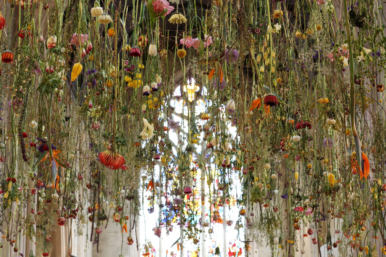 Rebecca Louise Law Interview