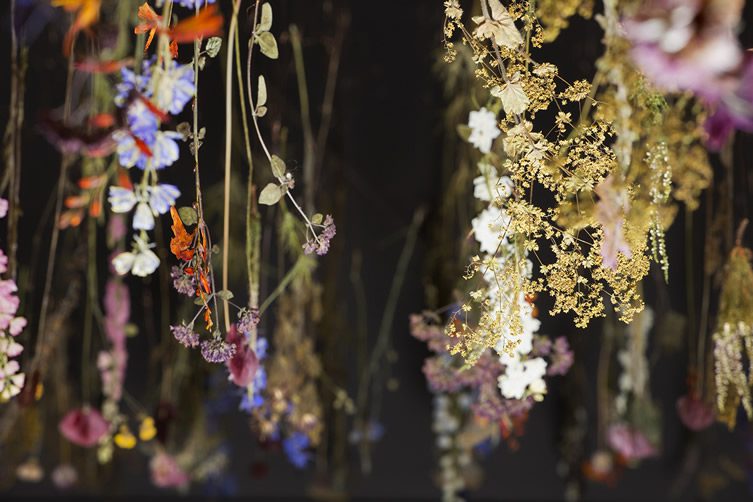 Rebecca Louise Law Interview