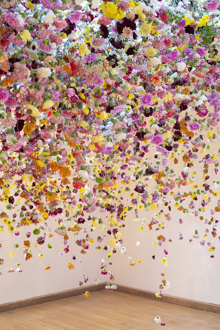 Rebecca Louise Law Interview