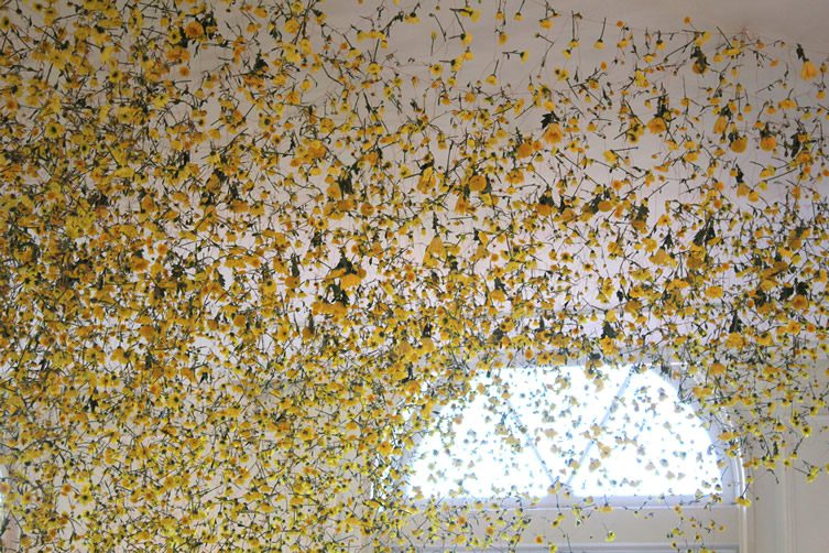 Rebecca Louise Law Interview