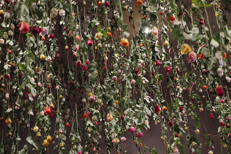 Rebecca Louise Law Interview