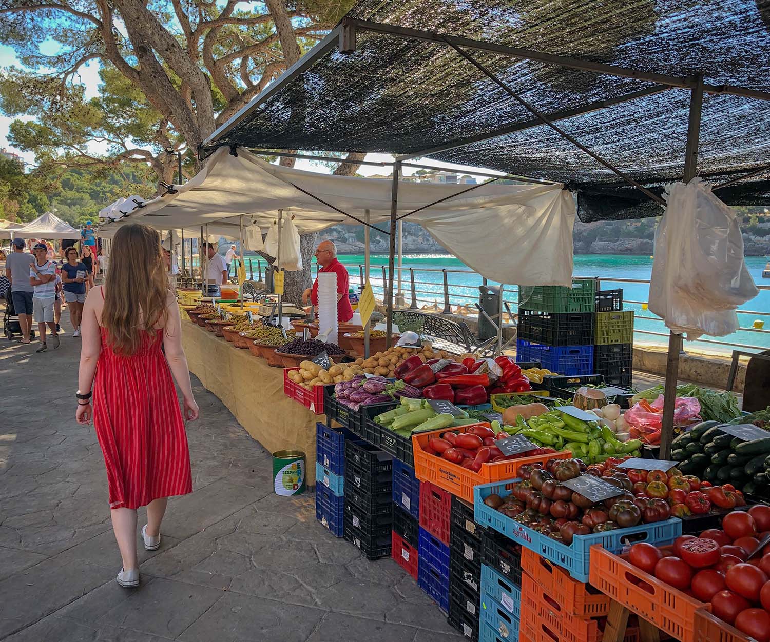 Restaurants in Mallorca: A Local Guide to the Best Dining Destinations on the Island