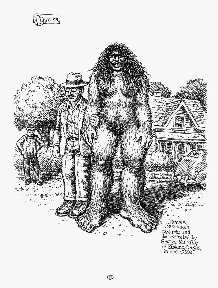 Robert Crumb — Sketchbooks 1964-1982