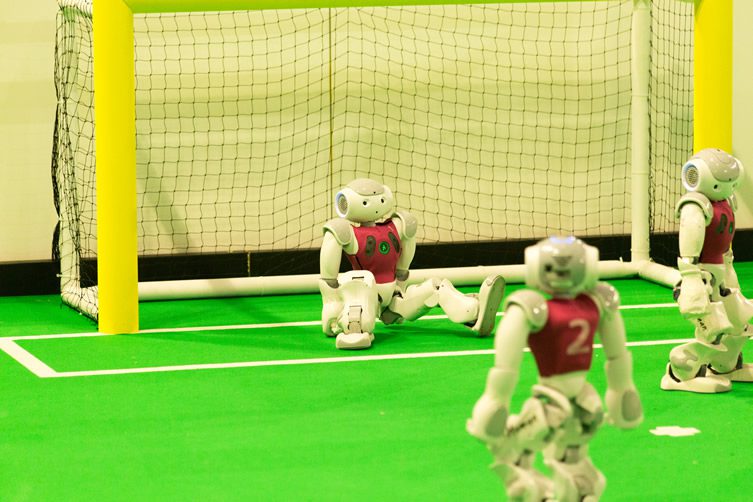 RoboCup, Robot Football's World Cup