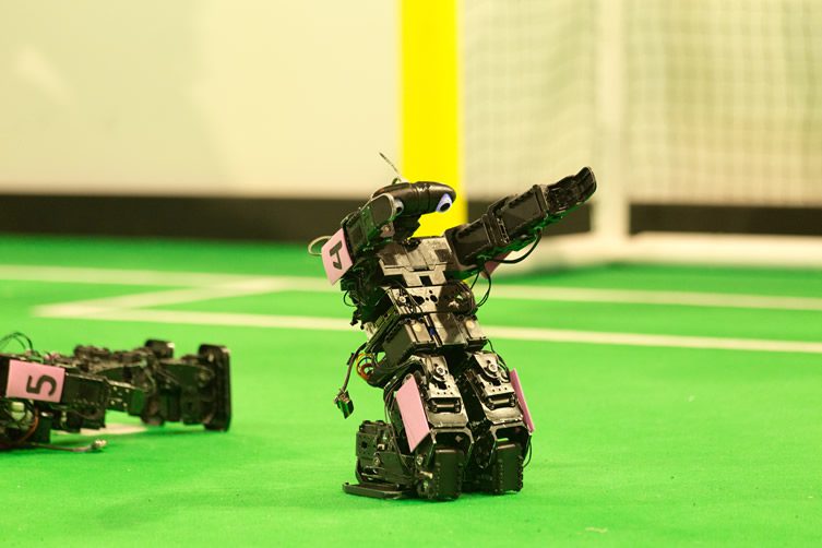 RoboCup, Robot Football's World Cup