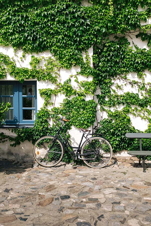 Grab a bike and explore—an illustrated map will guide you through vineyards and olive groves, past ancient holm oak trees, Neolithic dolmen and menhirs that date back 7,000 years