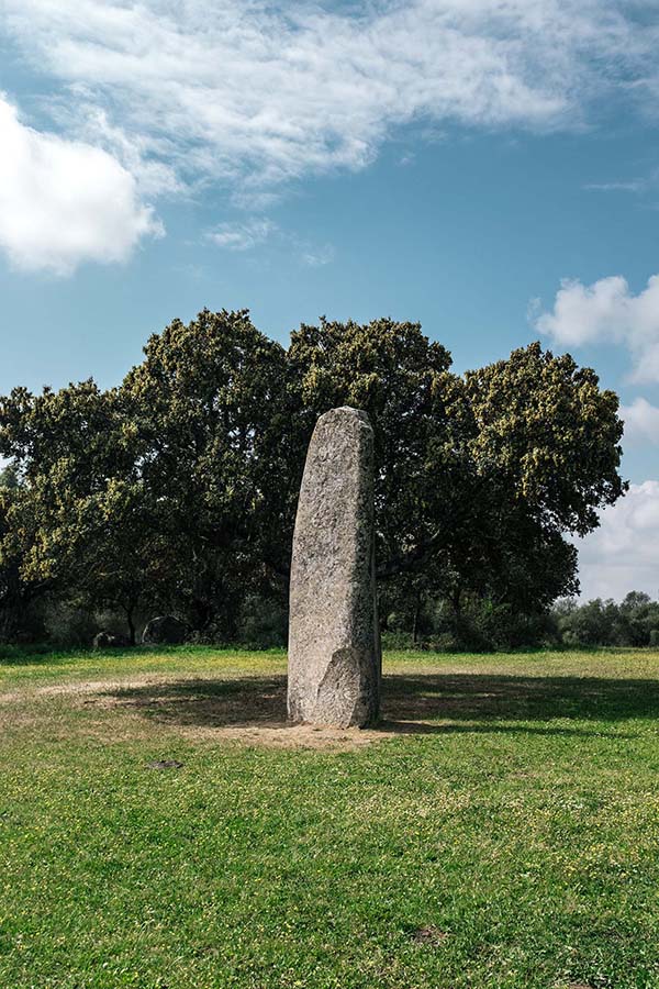 Grab a bike and explore—an illustrated map will guide you through vineyards and olive groves, past ancient holm oak trees, Neolithic dolmen and menhirs that date back 7,000 years