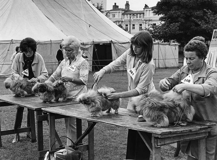 Shirley Baker, Dog Show 1961—1978 Published by Hoxton Mini Press