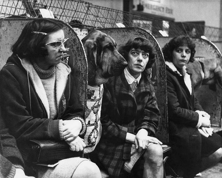 Shirley Baker, Dog Show 1961—1978 Published by Hoxton Mini Press