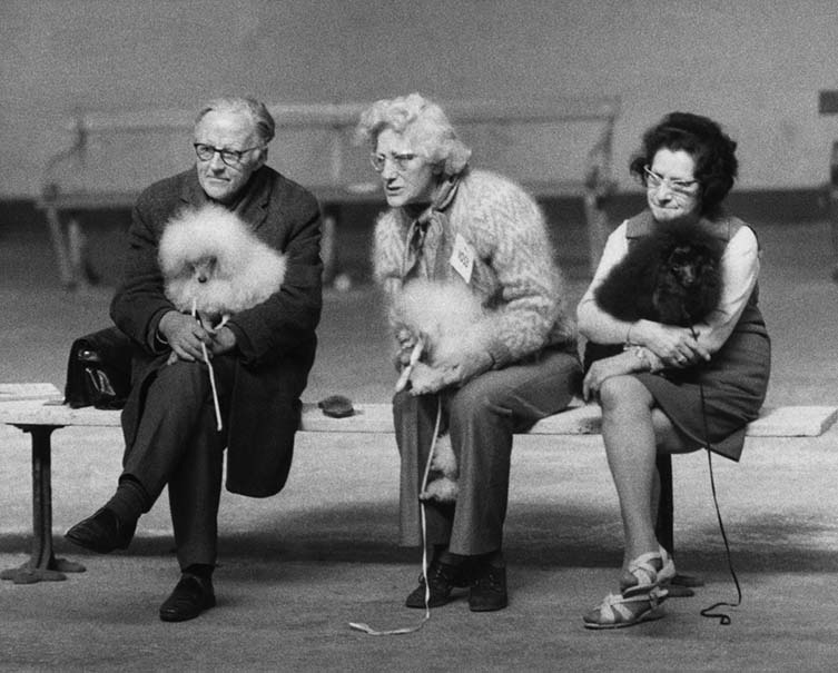 Shirley Baker, Dog Show 1961—1978 Published by Hoxton Mini Press