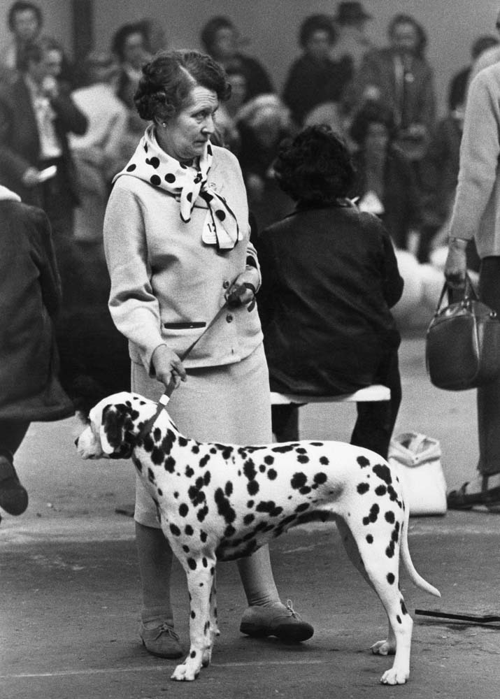 Shirley Baker, Dog Show 1961—1978 Published by Hoxton Mini Press