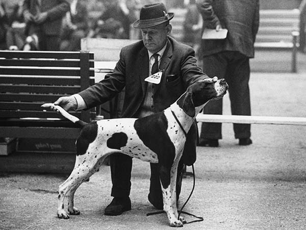 Shirley Baker, Dog Show 1961—1978 Published by Hoxton Mini Press