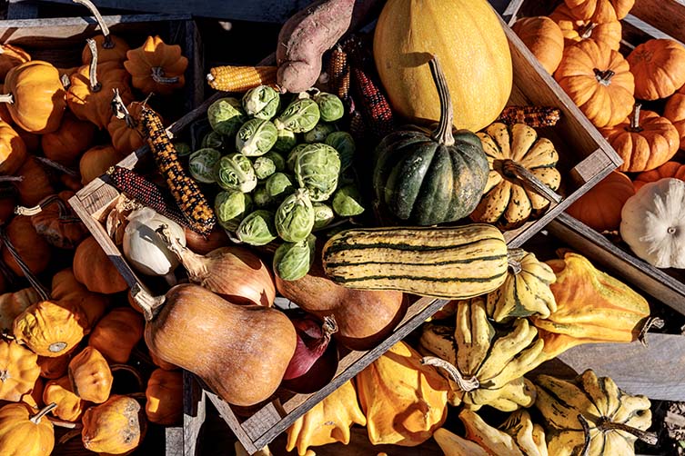 Skaneateles Fields Resort & Spa