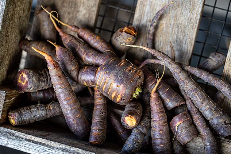 Skaneateles Fields Resort & Spa