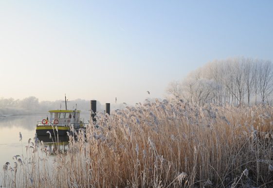 B&B Tielrode, Flanders