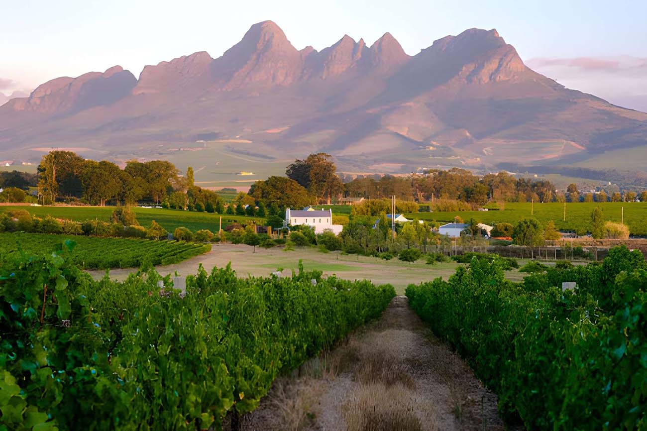 Winelands around Stellenbosch and Franschhoek