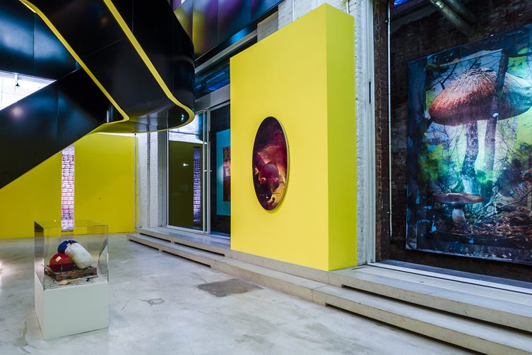 Spaced Out: Migration to the Interior at Red Bull Studios New York