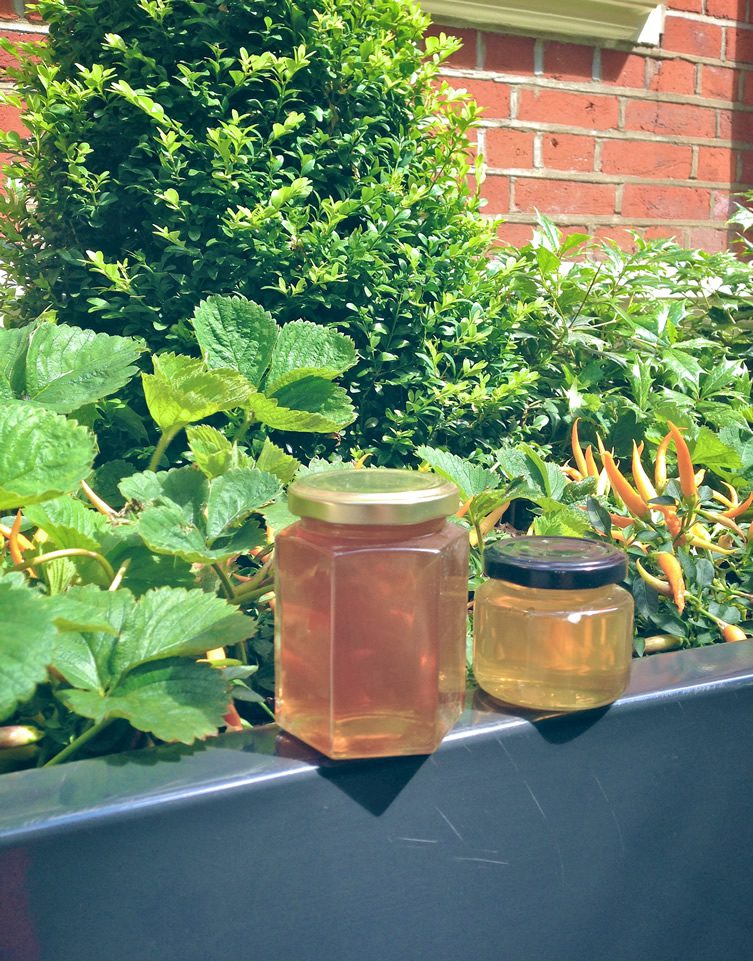 St. Ermin's Hotel, London; Urban Beekeeping