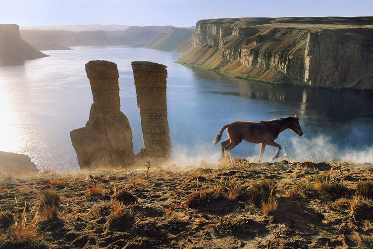 Steve McCurry's Afghanistan at Beetles + Huxley, London