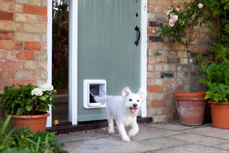 SureFlap Microchip Pet Door Connect, App-controlled Microchip Pet Door