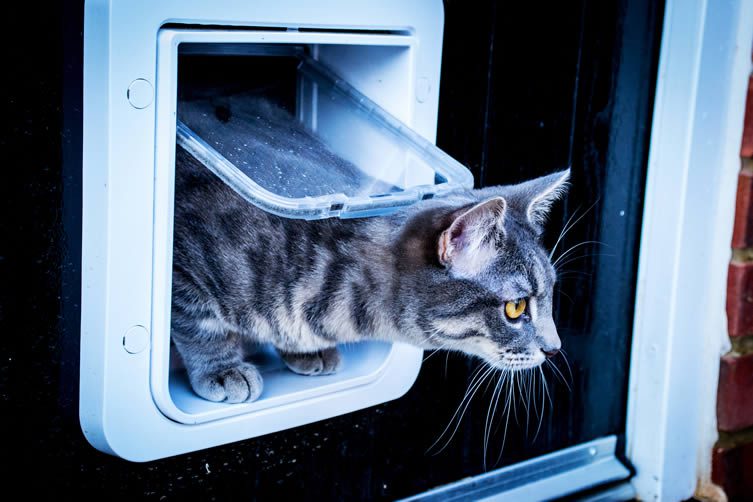 SureFlap Microchip Pet Door