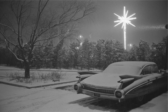 Joel Meyerowitz, Taking My Time