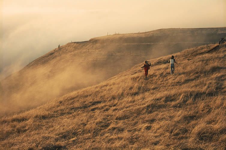 Bolinas Ridge