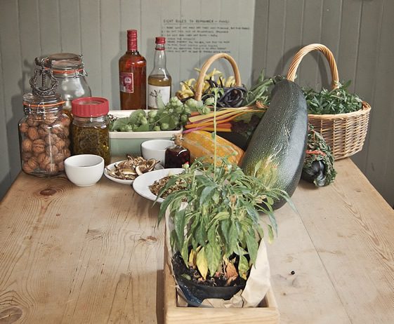 The Foragers' Wild Food Pop-Ups