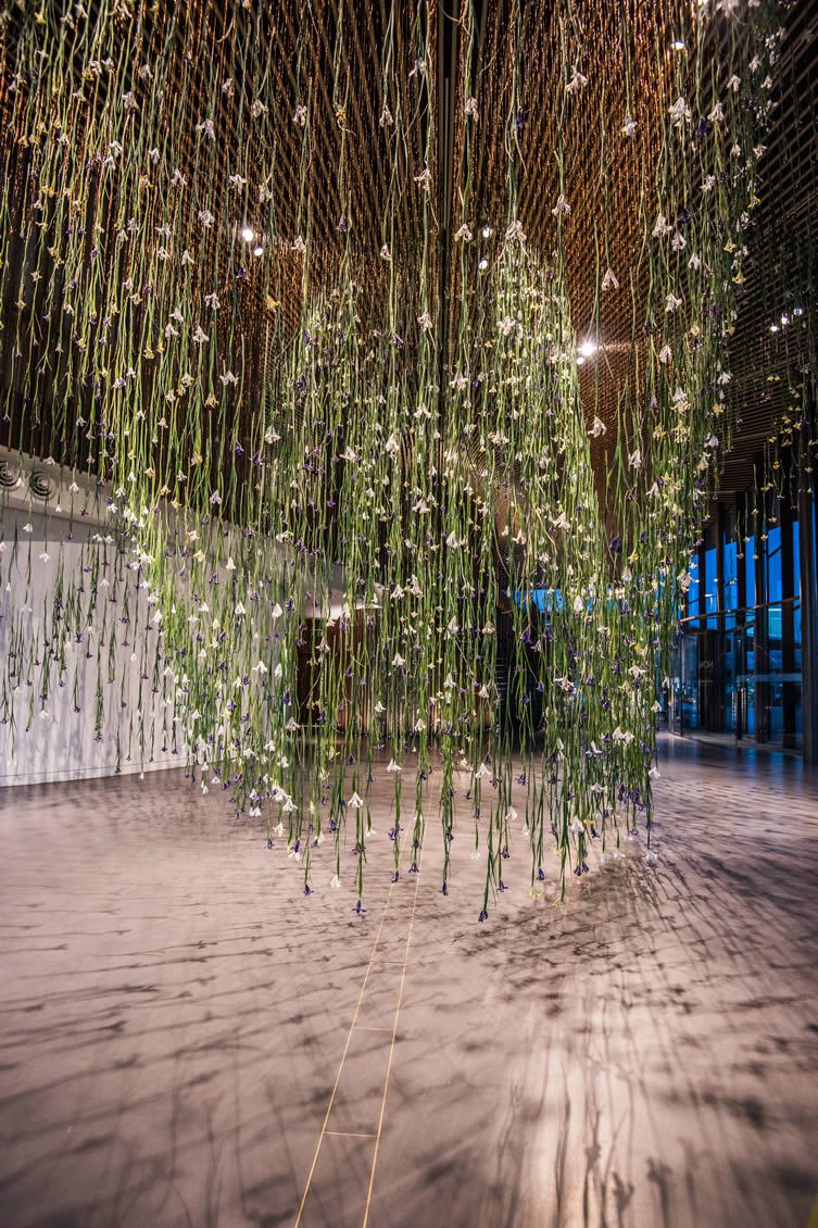 Rebecca Louise Law