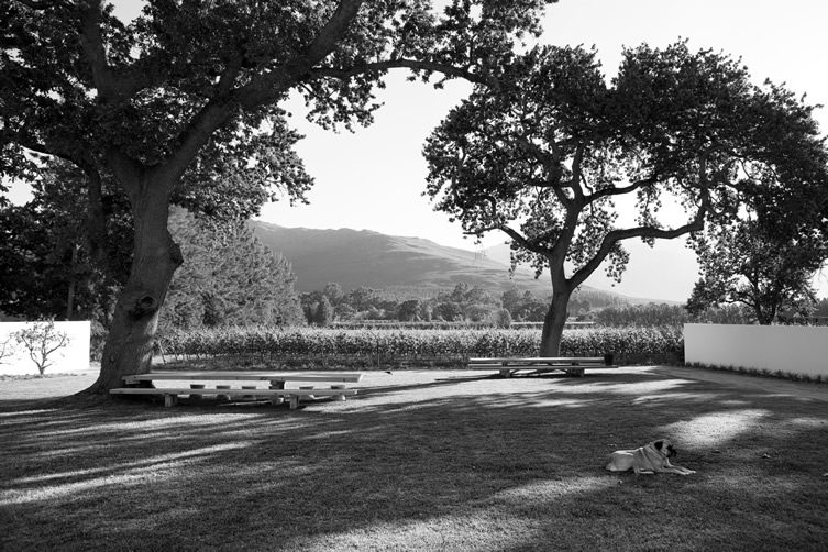 Maison Estate, Franschhoek, South Africa