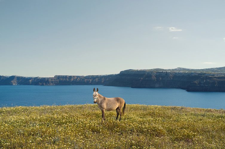 Petros Koublis for Vedema Hotel, Santorini