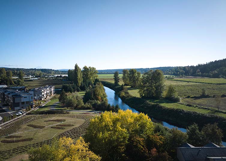 Seattle Autograph Collection