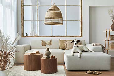 Travel-Inspired Living Space