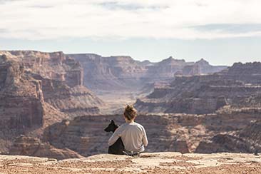 Travelling With Your Pet