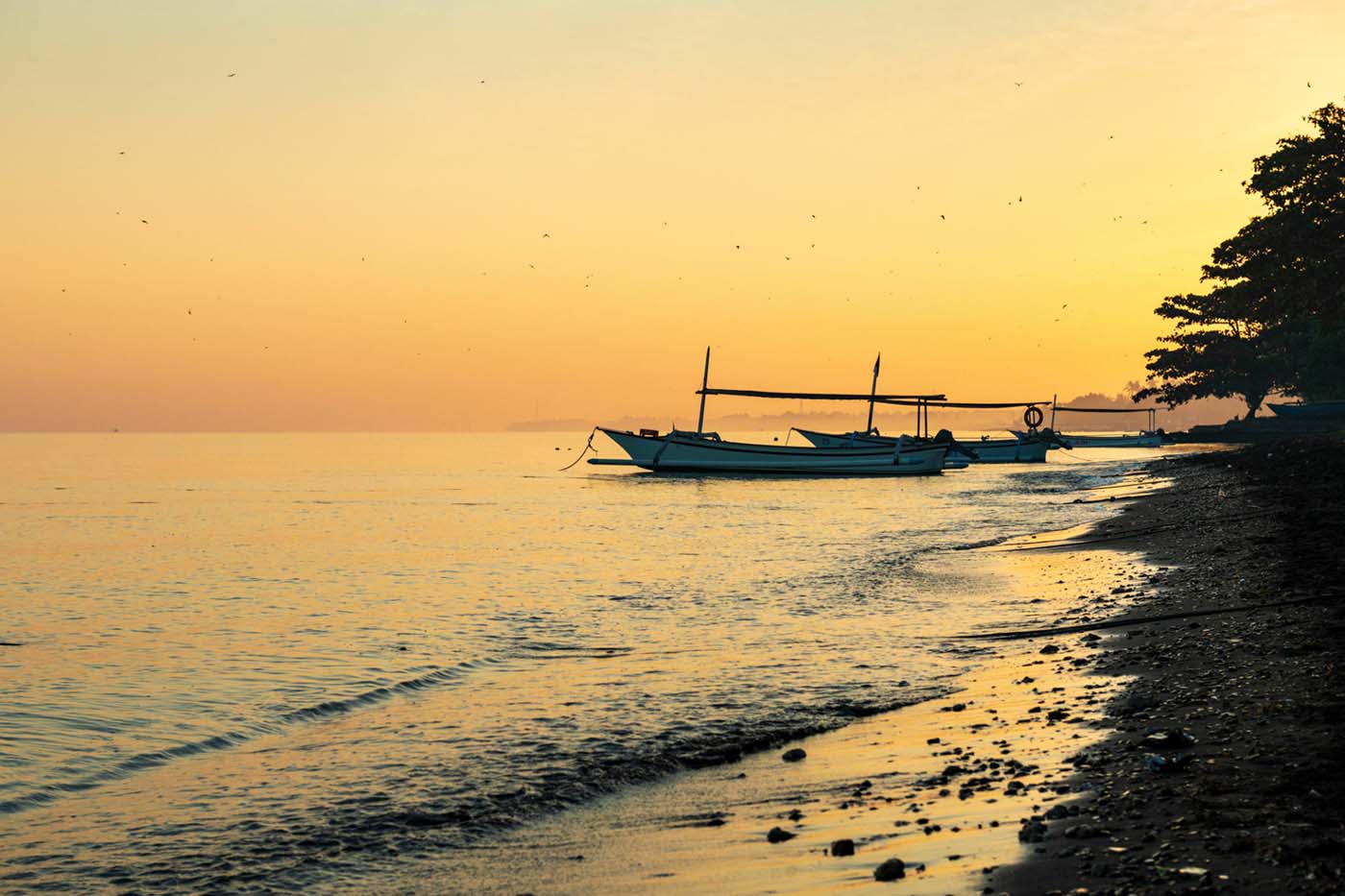 Take the Path Less Travelled: Discover and Enjoy the Hidden Treasures of North Bali