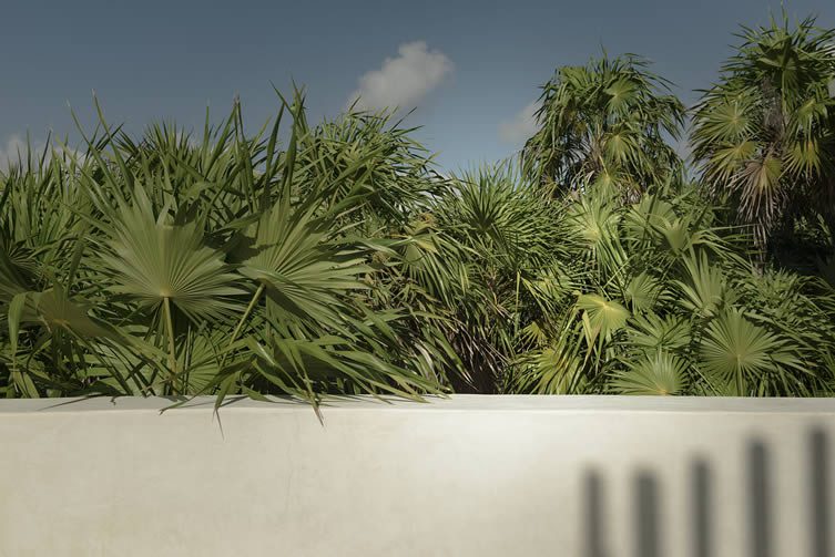 Tulum Treehouse, Carretera Tulum-Boca Paila, Quintana Roo