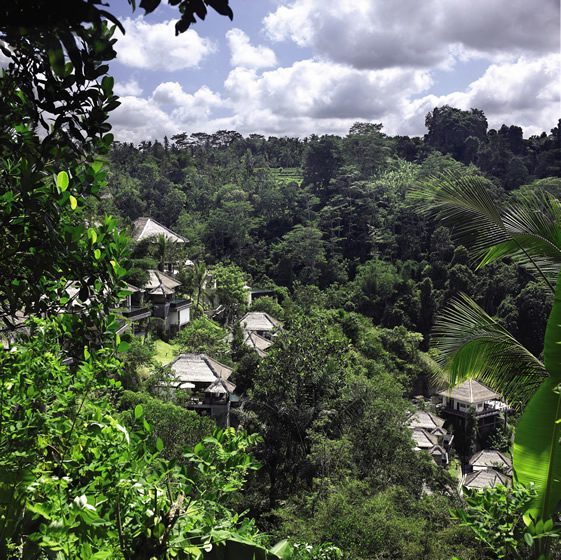 Ubud Hanging Gardens, Bali