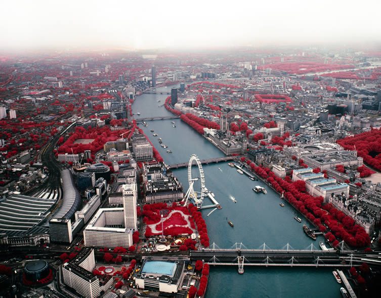 Studies in Pollution #7 The River Thames, from The City