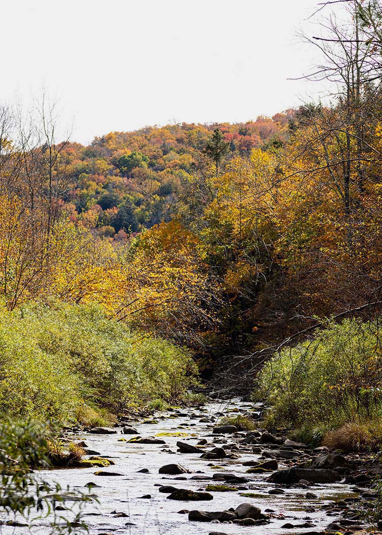 Urban Cowboy Lodge Catskills