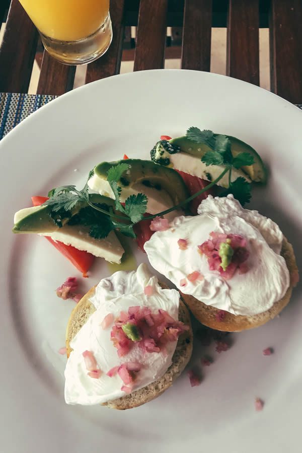 Poached organic eggs w/ tomato, avocado, extra-virgen olive oil, and basil