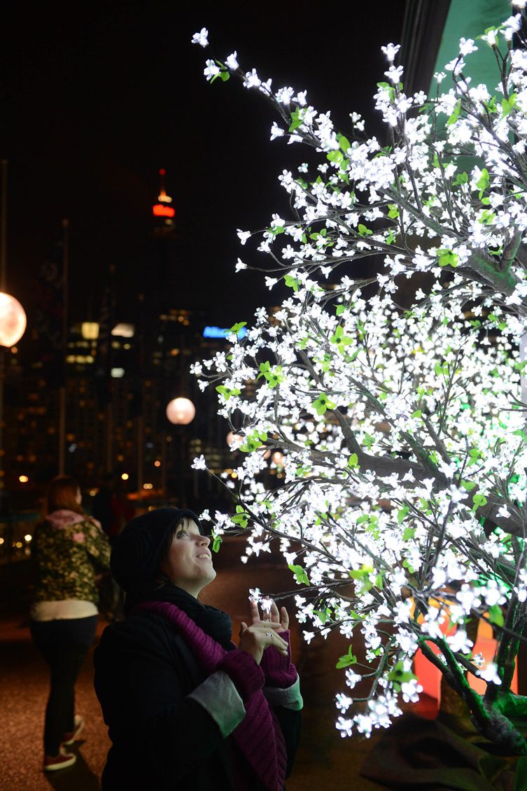 Vivid Sydney Light Festival