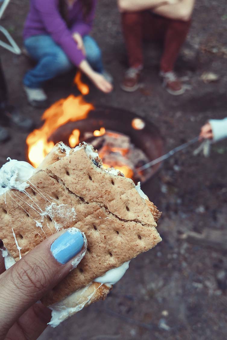 S'mores on the go