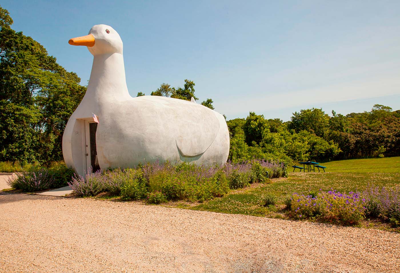 The Big Duck